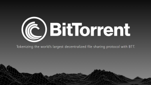 The BitTorrent