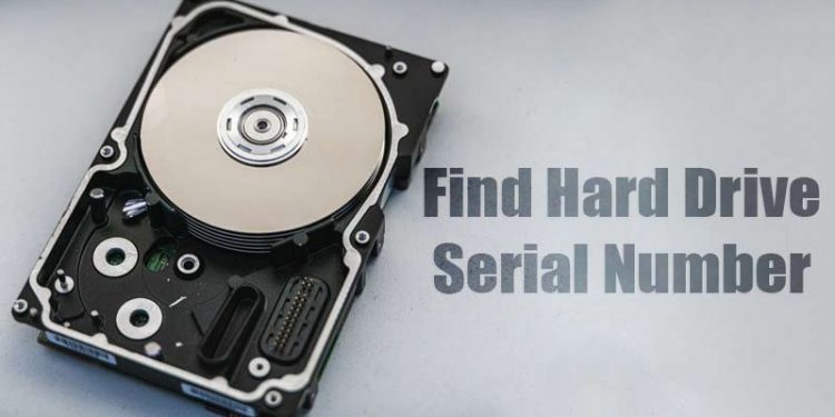 How to Find the Serial Number of a Hard Drive in Windows 10/11