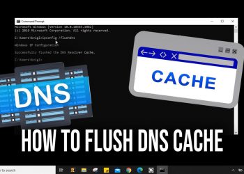 How to Flush DNS Cache in Windows 11
