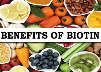 The Health Benefits of Biotin