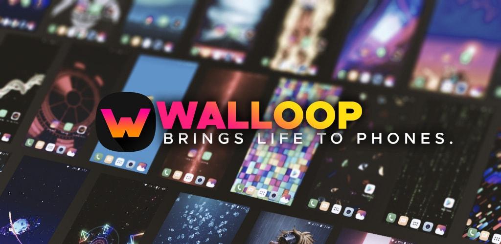 WALLOOP