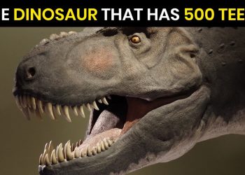 what Dinosaur has 500 teeth