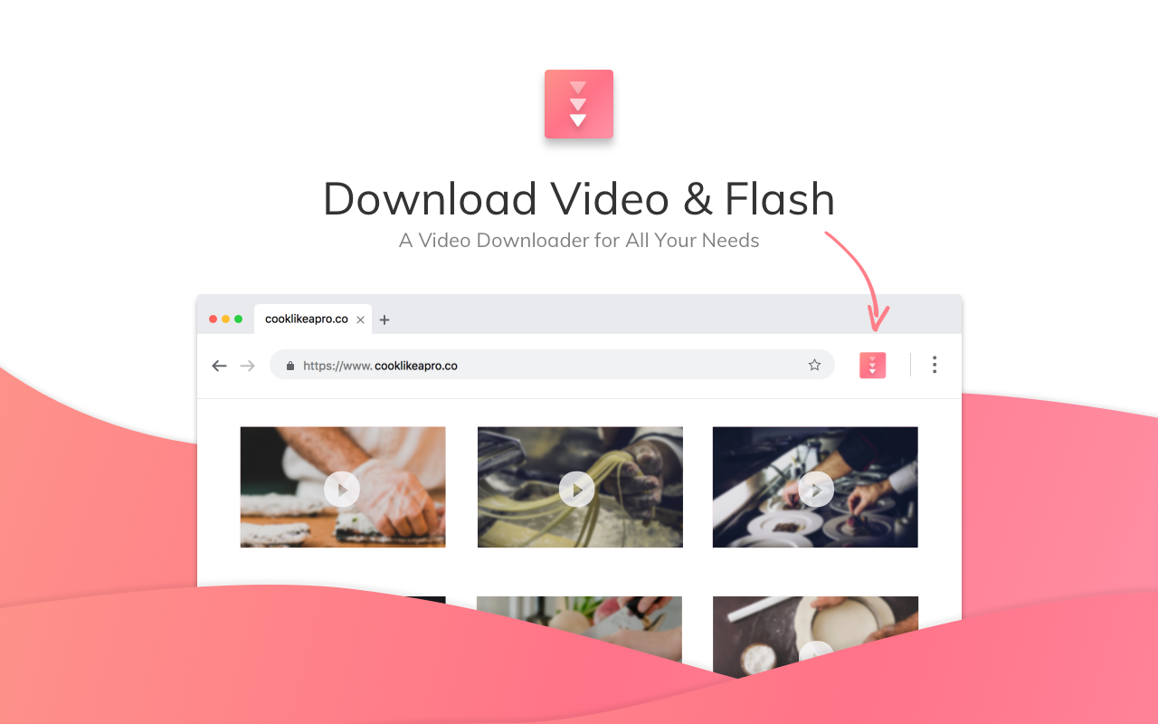 Flash Video Downloader