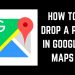 how to put a Pin on Google Maps