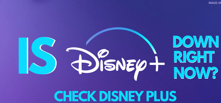 Check Disney Plus network status