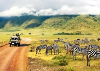 5 Best Destinations for A Safari in Kenya