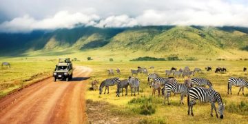5 Best Destinations for A Safari in Kenya