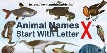 Animals That Begin with the Letter X