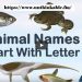 Animals That Begin with the Letter X