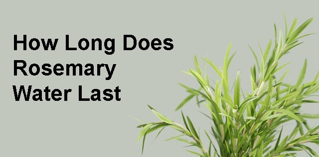How Long Does Rosemary Water Last