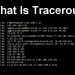 What Is Traceroute