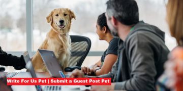 write for us pet