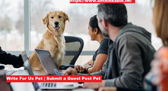 write for us pet