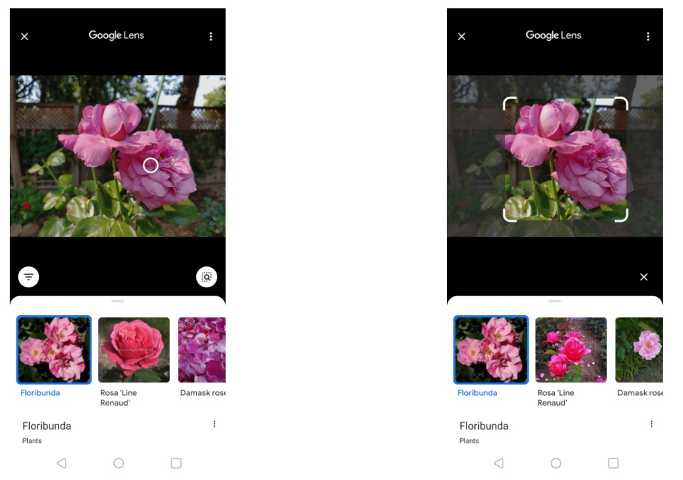 How to Reverse Image Search on Android or iPhone: Step-by-Step Guide