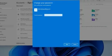 How to remove a login password on Windows 11: Quick Guide